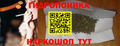 индика Кинель
