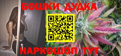 индика Кинель