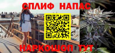 индика Кинель