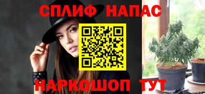 не бодяженный Кингисепп